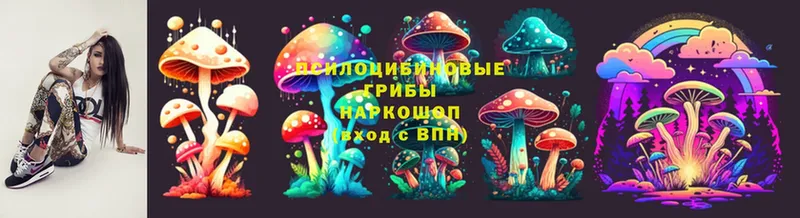 даркнет сайт  Чехов  Псилоцибиновые грибы Magic Shrooms 